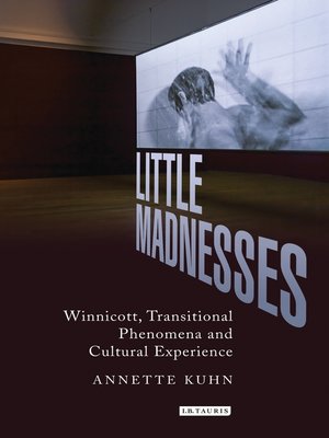 cover image of Little Madnesses